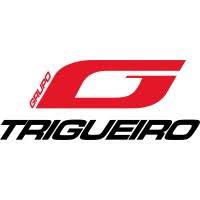 Logo Grupo G Trigueiro